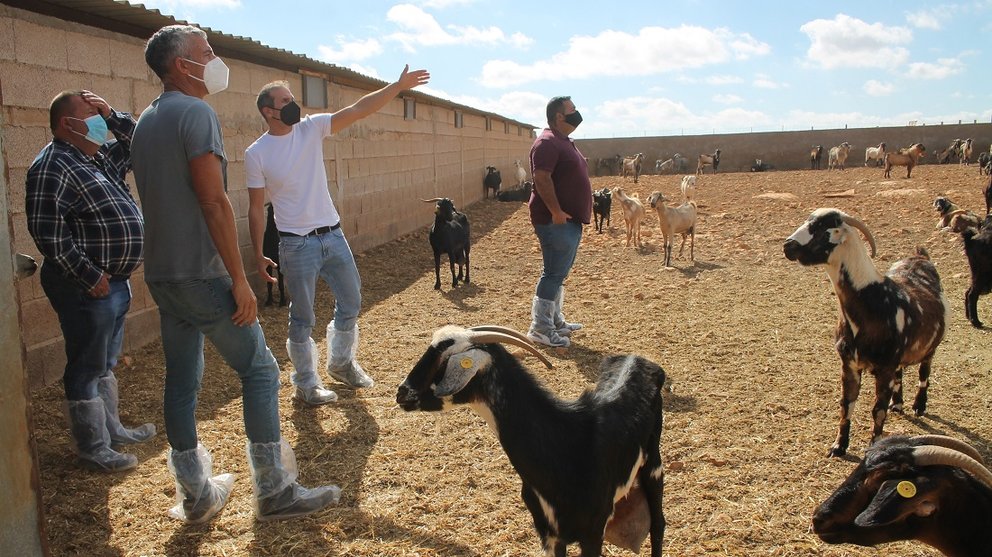 Visita del Ayuntamiento de Antigua a la nueva granja de Triquivijate. 