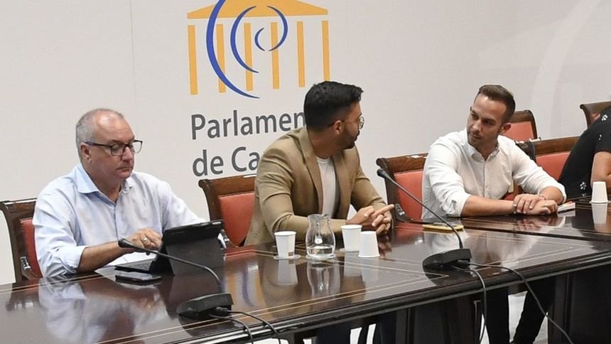 Integrantes del grupo parlamentario de Nueva Canarias.