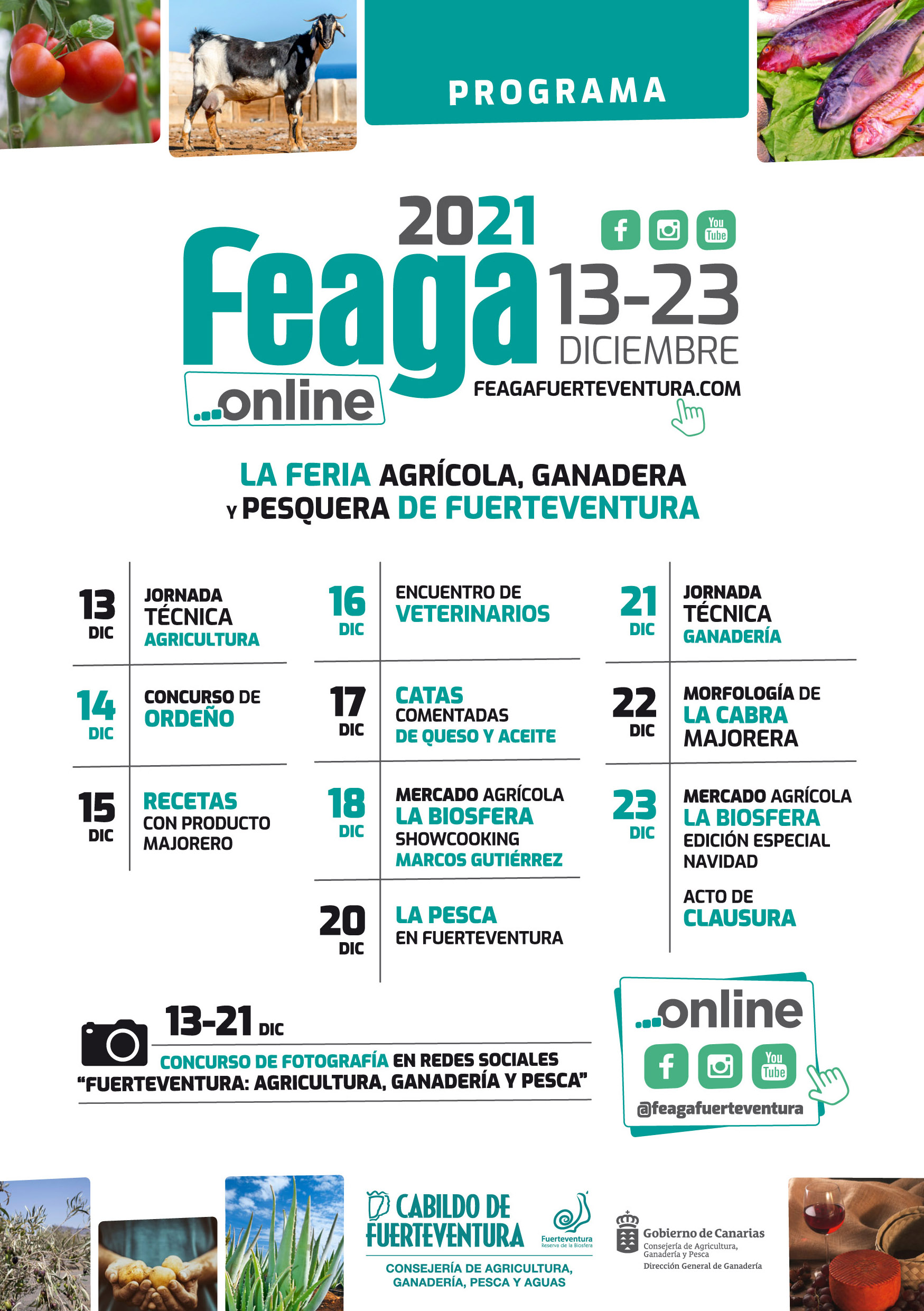 Feaga_online 2021_programa